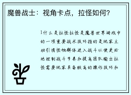 魔兽战士：视角卡点，拉怪如何？